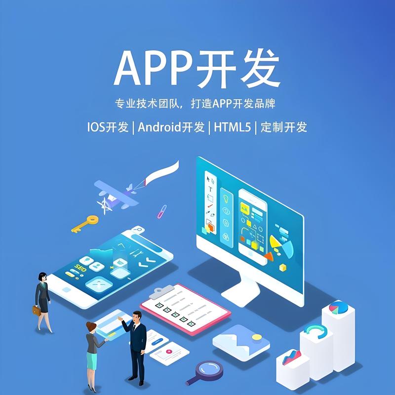 软件开发